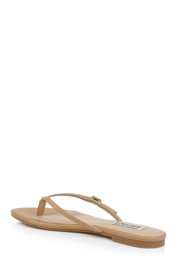 Dynah Leather Thong Sandals - Image 3